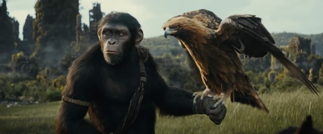 SET HIS PEOPLE FREE: Noa (Owen Teague) must save his Eagle Clan from a warring neighboring clan, in Kingdom of the Planet of the Apes, screening in local theaters.