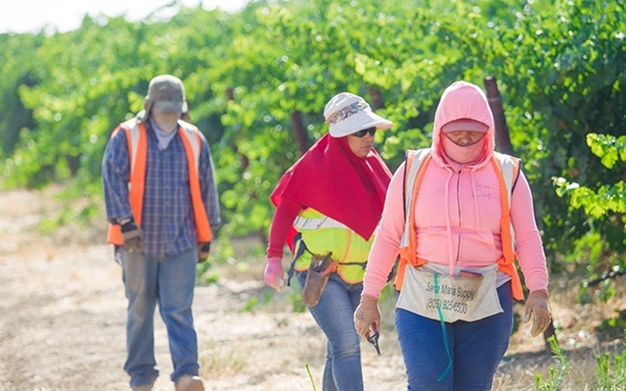 Labor contractors, farmworker organizations agree that the Farm Workforce Modernization Act is the right step forward