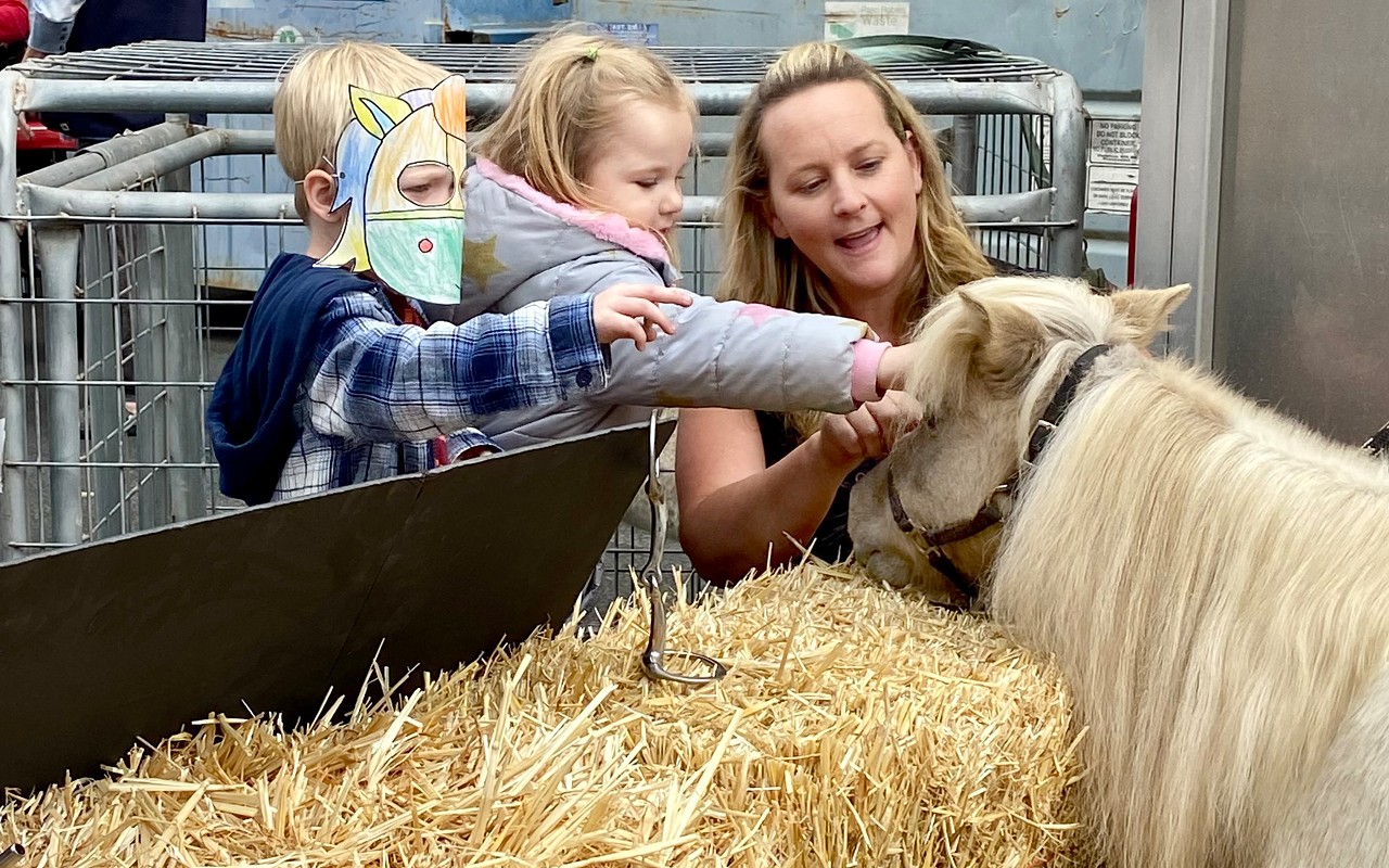 Rescue shelter holds Pony Parties for children to spend quality time with farm animals
