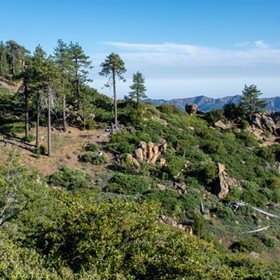 Reyes Peak Health Forest Project ruling moves to federal appeals court