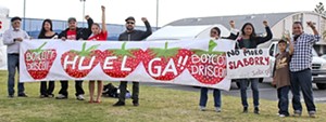 Berry boycott: Labor disputes in Baja California spill onto the Central Coast