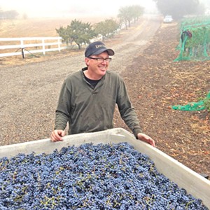 Dave Dascomb seeks the perfectly grown grape for Dascomb Cellars wine