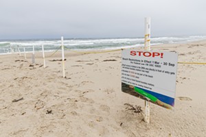 Coastal Commission supports new Surf Beach plan