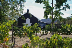 Vega Vineyard and Farm will openin October with Italian wines and Mediterranean fare fresh from the fields