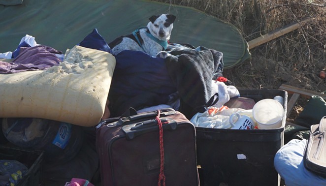 ANIMAL CARE: C.A.R.E.4Paws volunteers work with houseless residents of the Santa Maria Riverbed ahead of encampment cleanups, offering food and care for their pets.